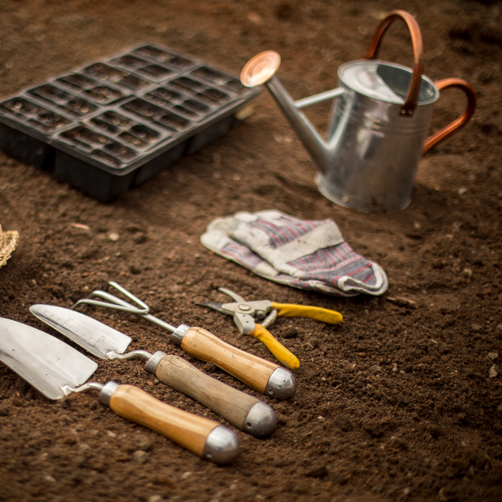 Shopmolestore.com Home Improvement and Accessories