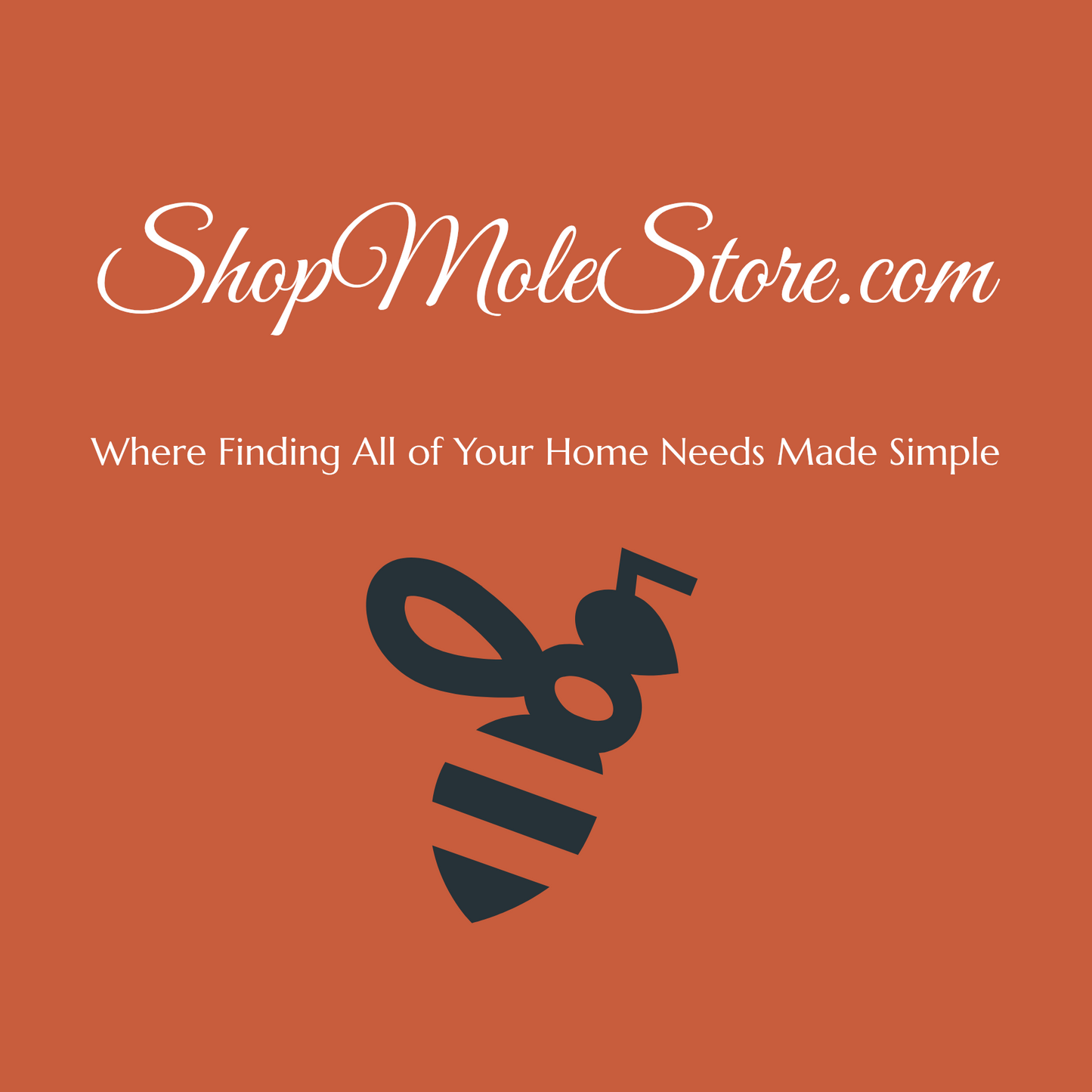 Shopmolestore.com Home Improvement and Accessories
